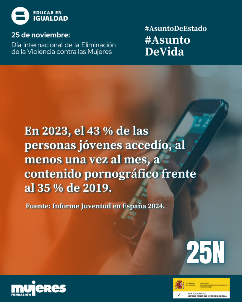 Observatorio Violencia - 25N 2025