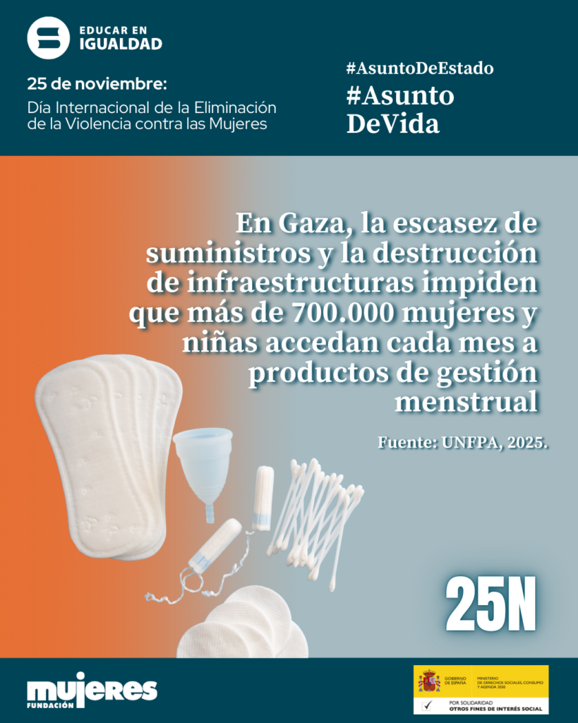 Observatorio Violencia - 25N 2025