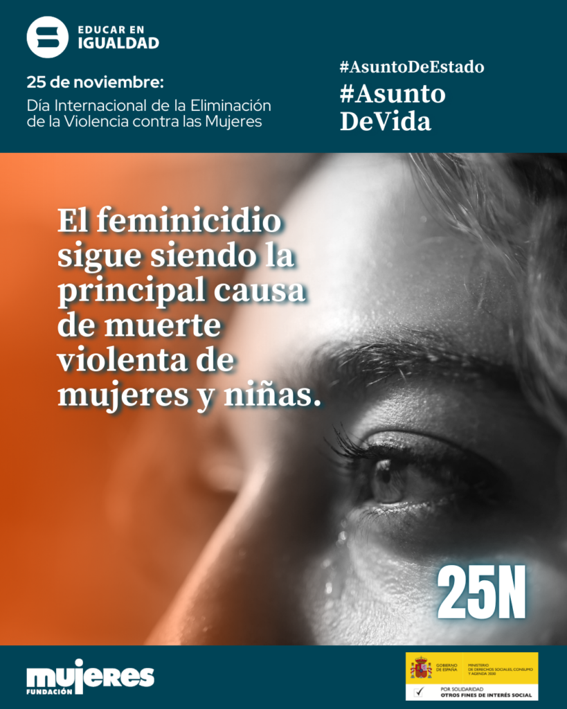 Observatorio Violencia - 25N 2025