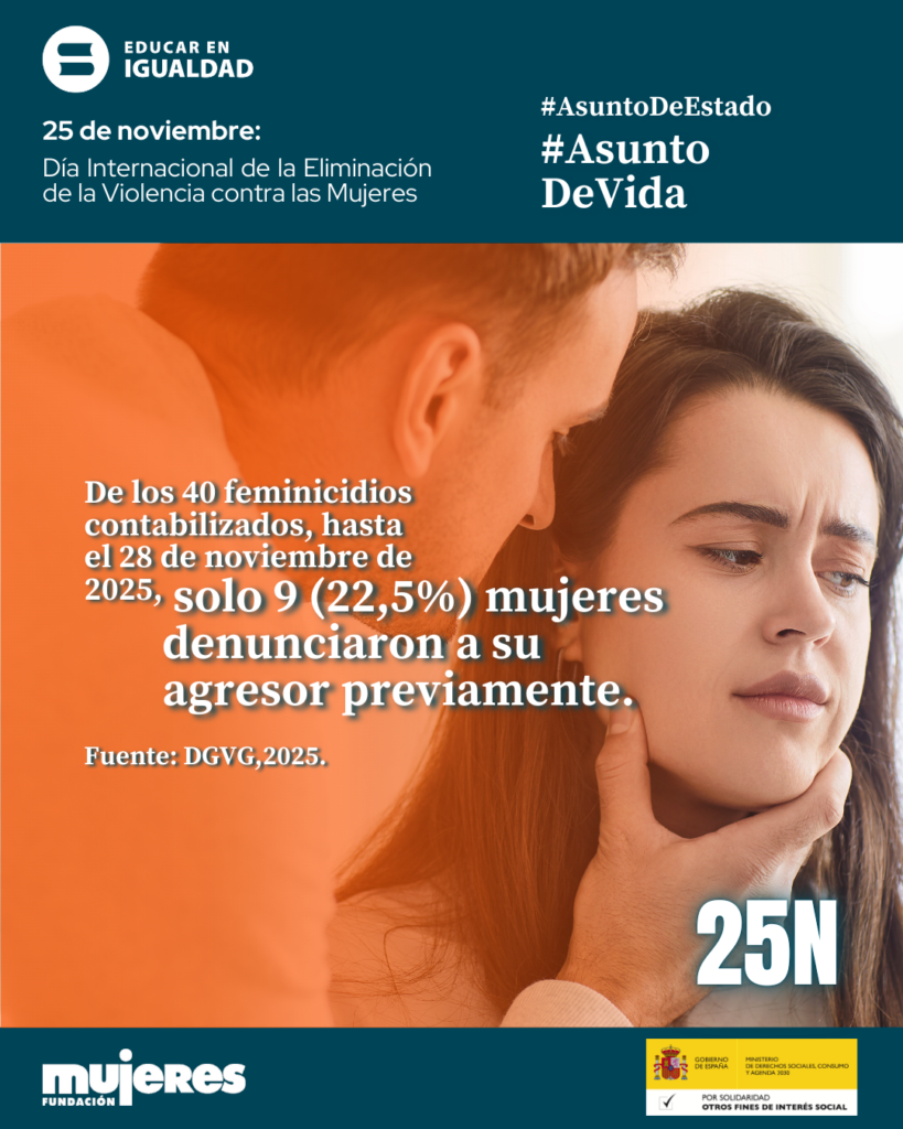 Observatorio Violencia - 25N 2025
