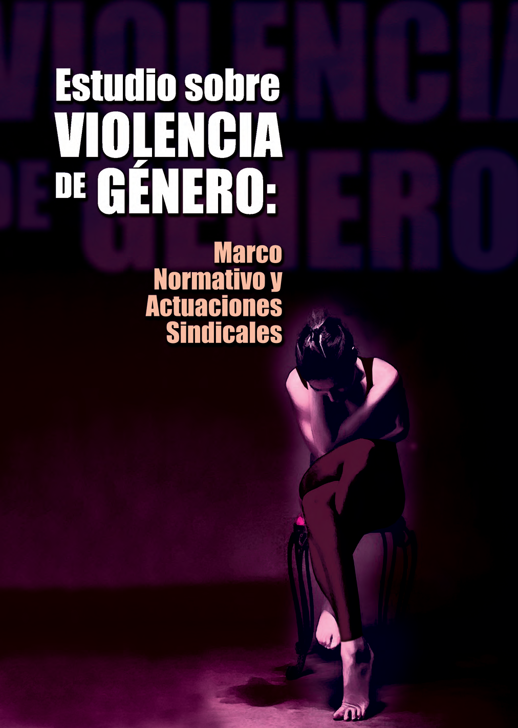 Estudio sobre violencia de género 2013