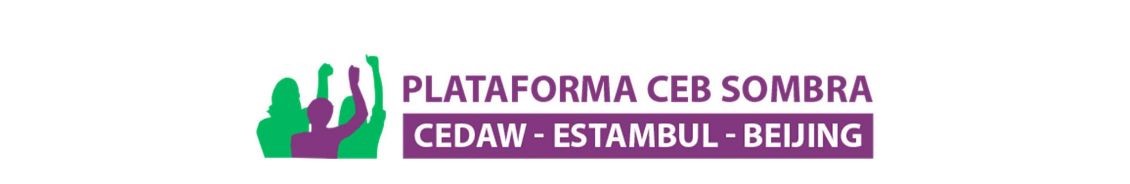 Fundación Mujeres apoya a las asociaciones feministas que denuncian ante CEDAW la falta de transparencia del Gobierno de España