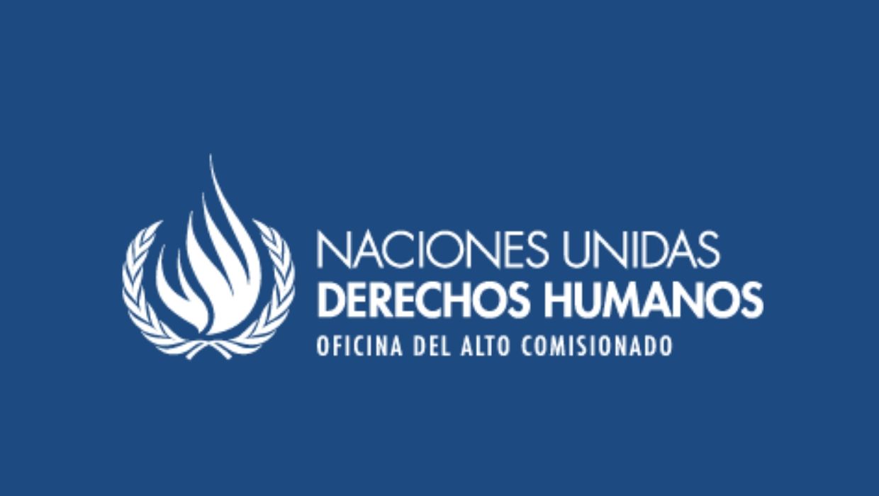 naciones unidas derechos humanos alto comisionado
